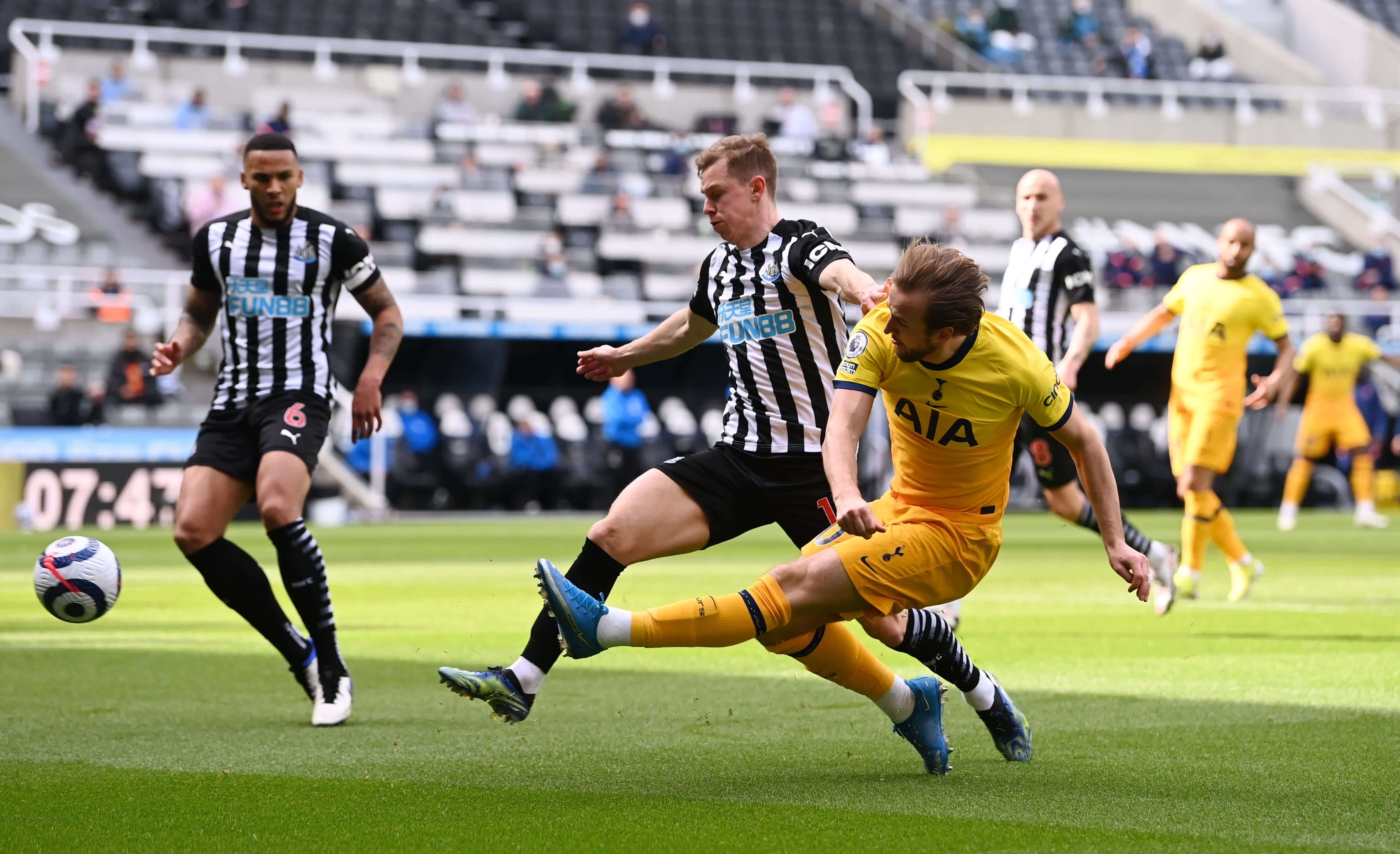 球迷的喜爱 球迷的喜爱